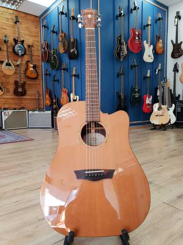 Washburn WD260SWCE