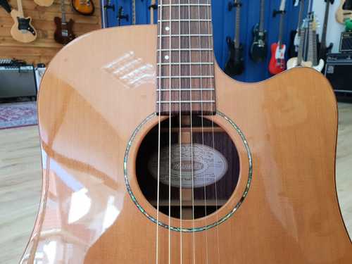 Washburn WD260SWCE