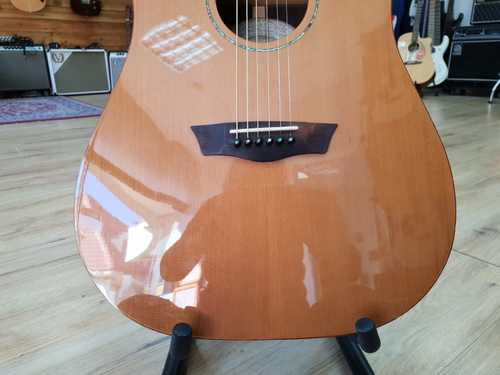 Washburn WD260SWCE