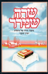 שרה שנירר