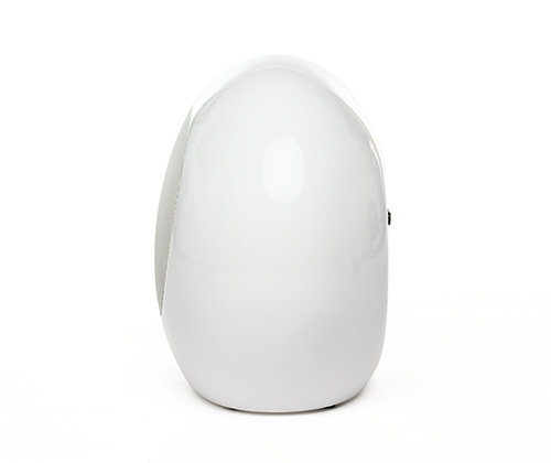 MOREL SOUNDSUB™ PSW8e