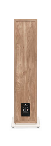 3Light Oak