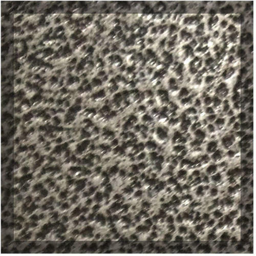 פטריית גז 14558 - METAL COLOR אפור רקוע Camptown 