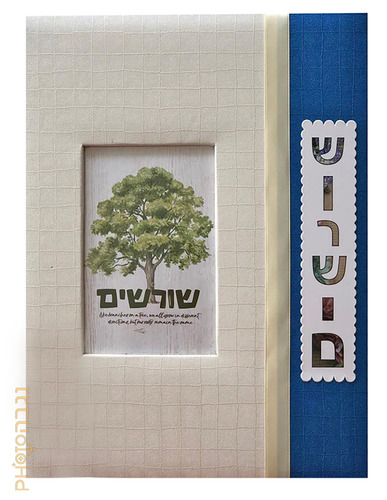צבע קרם וכחול