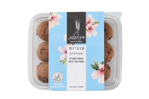 עוגיות שוקולדצ׳יפס לנמנעים מגלוטן