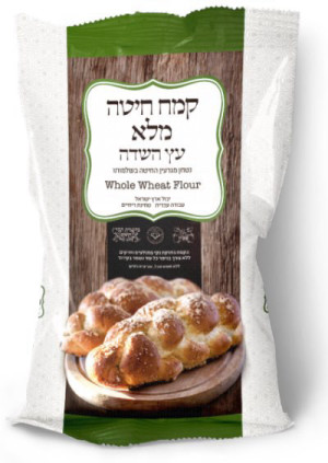 קמח חיטה מלא