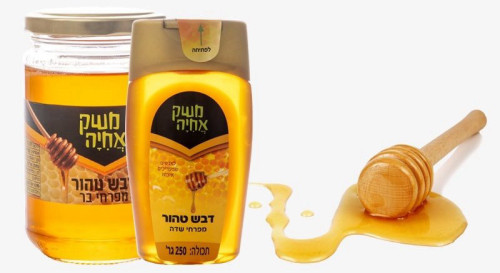 דבש טהור מפרחי שדה משק אחיה 250 גרם
