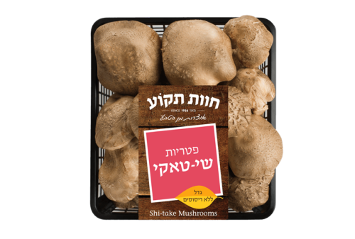 פטריות שי-טאקי ארוז