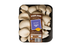 פטריות יער ארוז 170 גרם