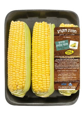 תירס סופר מתוק