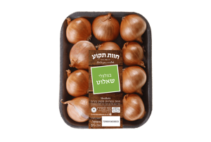 בצלצלי שאלוט