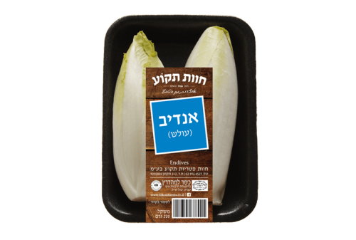אנדיב (עולש)