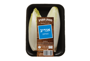 אנדיב (עולש)
