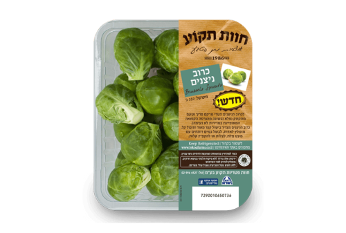 כרוב ניצנים טרי