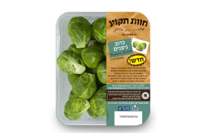 כרוב ניצנים טרי