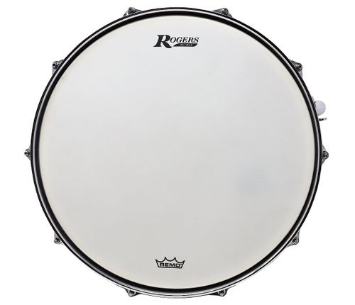 זוית נוספת Rogers Beavertail Dyna-Sonic Snare NO.37-RR