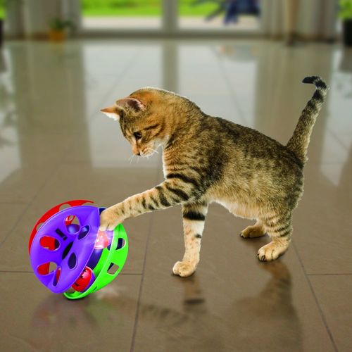 כדור אינטראקטיבי לחתולים