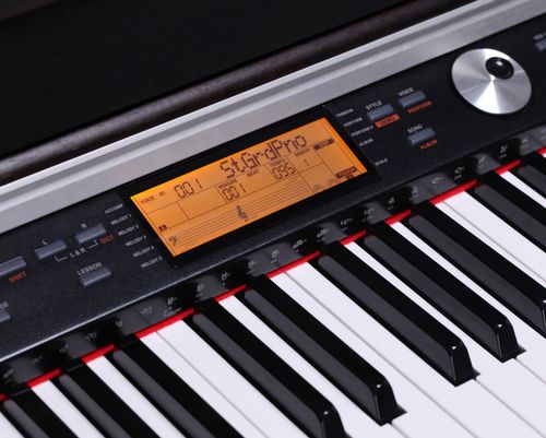 זוית נוספת Medeli DP388