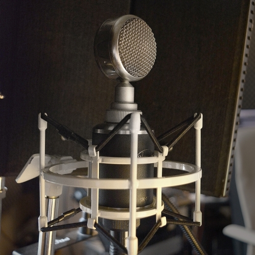 מיקרופון קונדנסר בצבע כסף MK-117 מבית Oktava