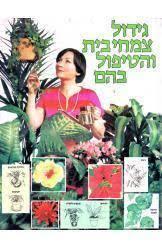 גידול צמחי בית והטיפול בהם (יד 2) - דוד לונגמן שבא הוצאה לאור