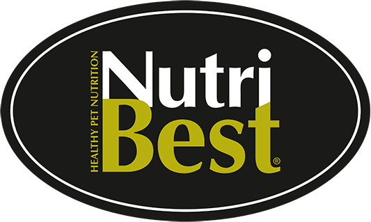 נוטרי בסט -  NUTRI BEST פרנצ