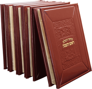 סט מחזורים מעור ממוחזר