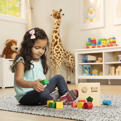 קוביית התאם צורה קלאסית מעץ + 12 צורות צבעוניות