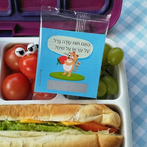 חידות מתגרדות לארוחת עשר - גיל 6-8 שנים