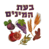 ערכת קישוט שבעת המינים מנצנצת/ יודקה