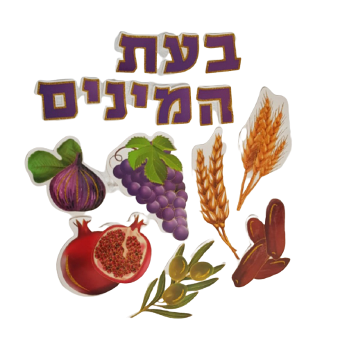 ערכת קישוט שבעת המינים מנצנצת/ יודקה