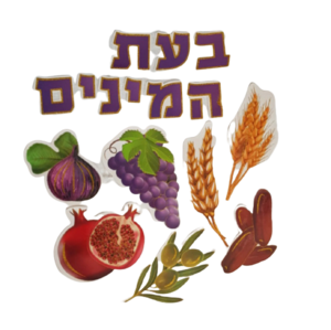 ערכת קישוט שבעת המינים מנצנצת/ יודקה