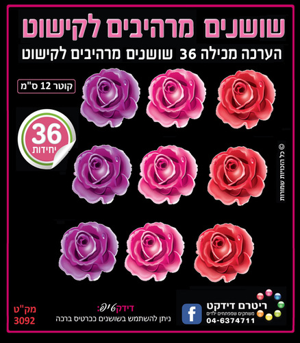 שושנים מרהיבות לקישוט ליום המשפחה