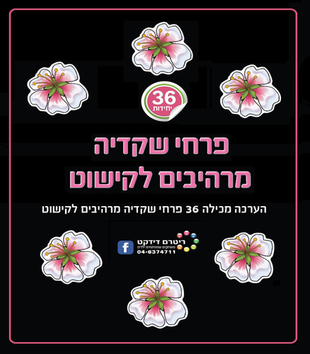 36 פרחי שקדיה מרהיבים לקישוט/ריטרם