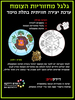 36 יצירה גלגל מחזוריות הצומח/ריטרם
