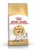מזון לחתול בוגר רויאל קנין לחתול סיאמי 4 ק"ג Royal Canin