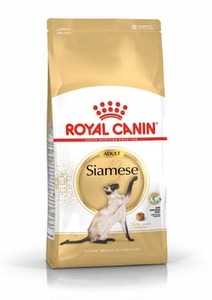 מזון לחתול בוגר רויאל קנין לחתול סיאמי 4 ק"ג Royal Canin