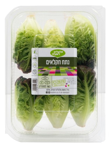 נתח חקלאים 