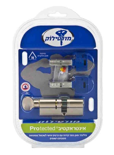 צילינדר אינטראקטיב