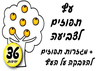יצירה עץ תפוזים + מגזרות תפוזים