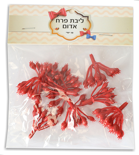 ליבת פרח 5 יח' 
