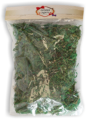 צמחיה ירוקה 