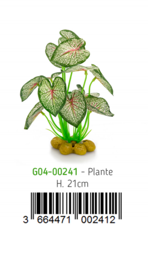 צמח עומד לטרריום מס 2  CO4-00241