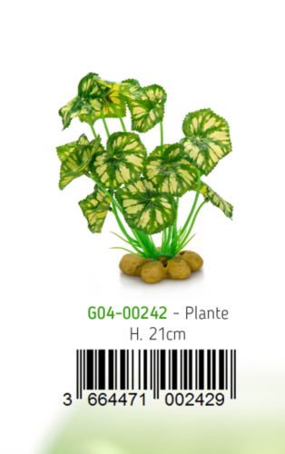 צמח עומד לטרריום מס 3 CO4-00242