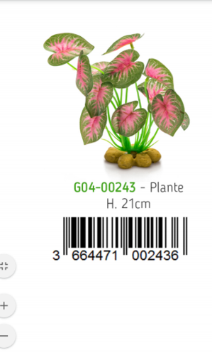 צמח עומד לטרריום מס 4 CO4-00243