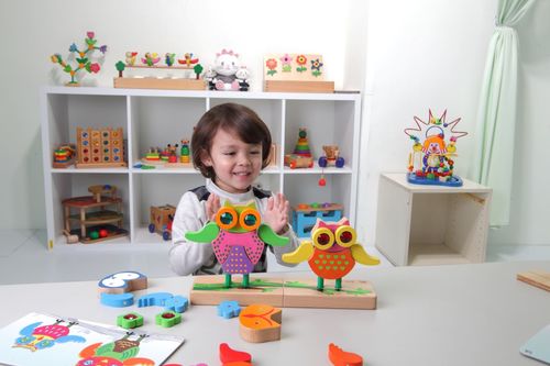 התאמת ינשופים לפי דגם