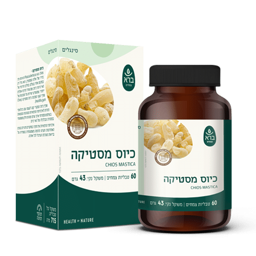 ברא כיוס מסטיקה 60 טבליות 