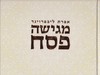 אפרת מגישה פסח