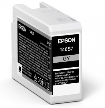 Epson UltraChrome Gray Ink Cartridge (25mL) for P700 - דיו אפור למדפסת