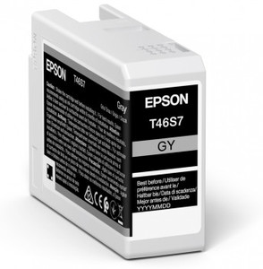 Epson UltraChrome Gray Ink Cartridge (25mL) for P700 - דיו אפור למדפסת