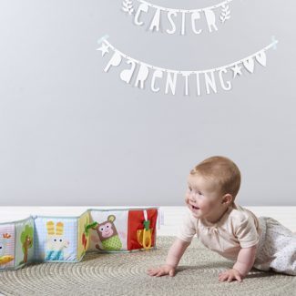 ספר עגלה 3 ב 1 עם נשכן טף טויס Taf Toys
